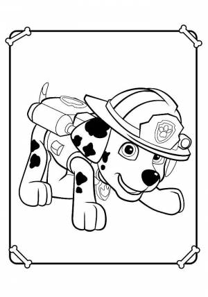 Раскраски Раскраска Щенячий патруль щенячий патруль, Download print coloring page
