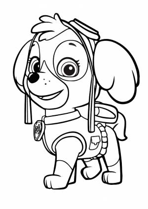 Раскраски Раскраска Щенячий патруль