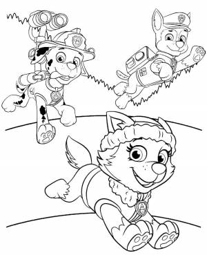 Раскраски щенячий патруль , Категория