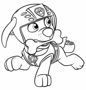 Раскраска Зума грызет косточку