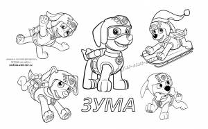 Раскраски Щенячий патруль