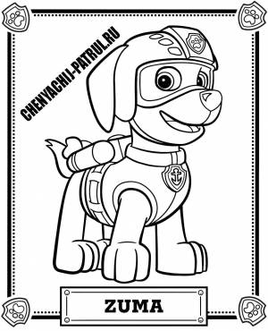 Раскраски зума, Раскраска Зума Щенячий Патруль