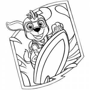 Раскраска серфинг Зума Щенячий патруль