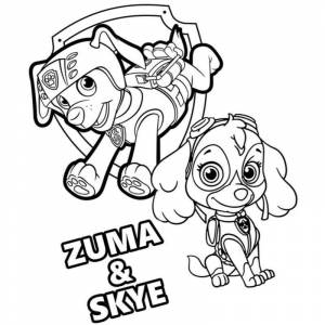 Раскраска Скай и Зума Щенячий патруль