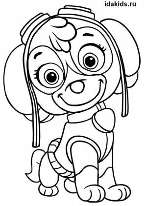 Раскраска Щенячий Патруль   50