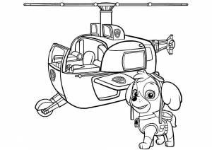 Раскраска Скай Щенячий Патруль