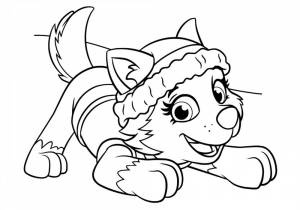 Раскраска Щенячий Патруль