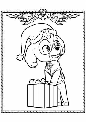 Раскраска Скай Щенячий Патруль