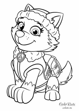 Эверест из Щенячьего патруля