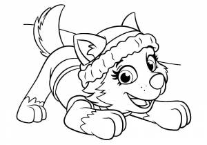 Раскраска Эверест Щенячий Патруль