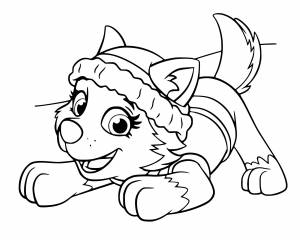 Эверест из Щенячьего патруля