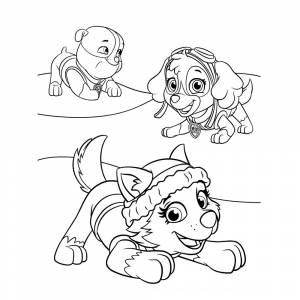 Раскраска Эверест, Скай и Крепыш