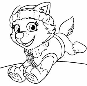 Раскраска Эверест