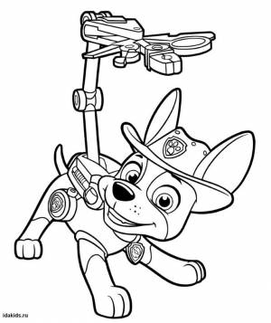 Раскраска Щенячий Патруль Трекер с рюкзаком