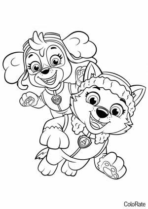 Раскраска Скай и Эверест