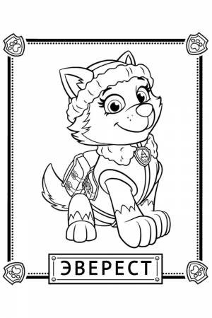 Раскраска Эверест