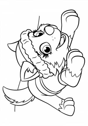 Раскраски Щенячий патруль Эверест