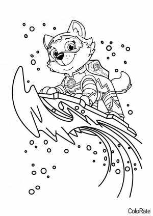 Раскраска Мегащенок Эверест