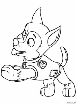 Раскраска Гонщик