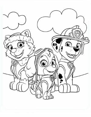 Раскраска Щенячий Патруль   онлайн  и раскрасить