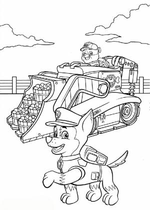 Раскраска Щенячий Патруль   онлайн  и раскрасить