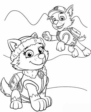 Раскраска Щенячий Патруль   онлайн  и раскрасить