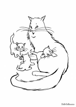 Раскраска Кошка и три маленьких котенка