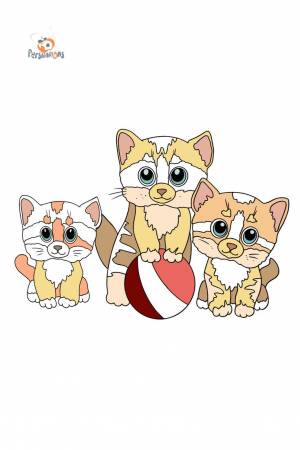 Раскраска три котенка дружно играют с мячом