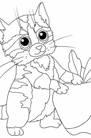 Раскраски Котенок и Кошки для детей