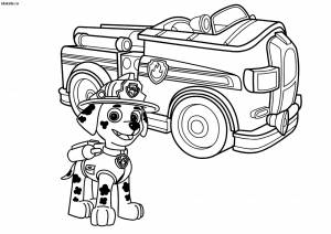 Раскраска Щенячий Патруль   50