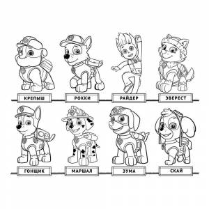 Раскраска Щенячий патруль