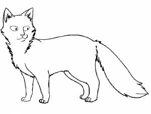 Раскраска Коты Воители