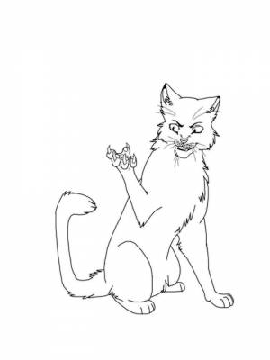 Картинка Коты воители  раскраску онлайн