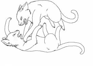 Раскраски коты воители смерть