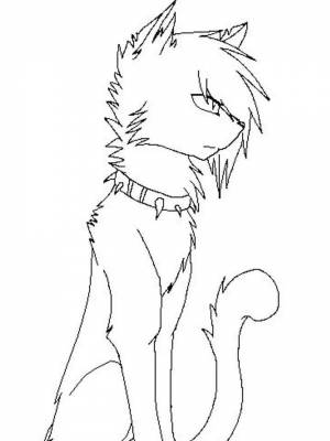 Раскраска Коты воители  для мальчиков