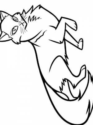 Раскраска Коты воители картинка