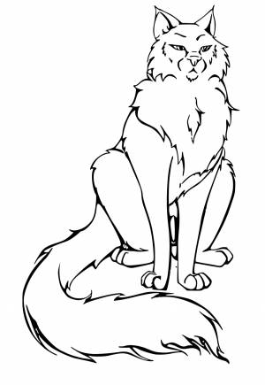 Раскраска Коты-Воители Уверенность