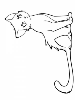 Картинка Коты воители раскраска в формате  для девочек