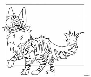 Раскраски Коты Воители
