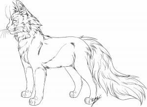 Раскраски Коты воители кленовница