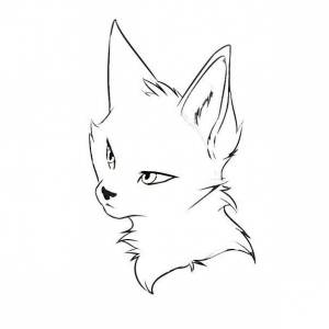 Коты воители для срисовки