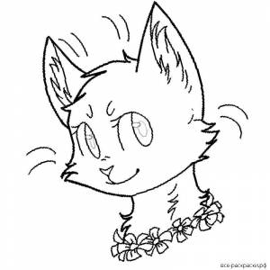 Раскраски коты воители бич