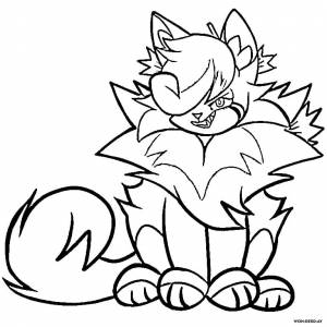 Раскраска Кленовница