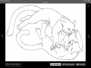 Раскраски Коты воители кленовница