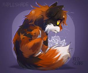 Коты воители