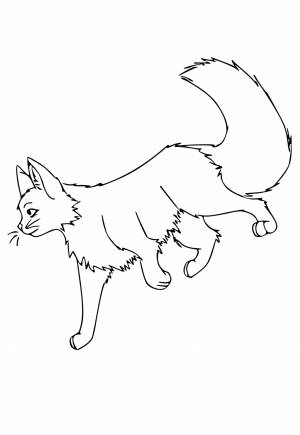 Раскраска Коты-Воители Походка