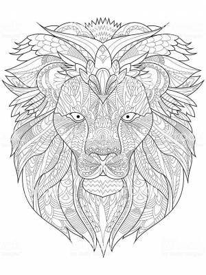 Раскраски взрослые львы