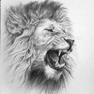 Пасть льва рисунок
