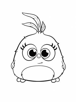 Раскраска Цып-Цып