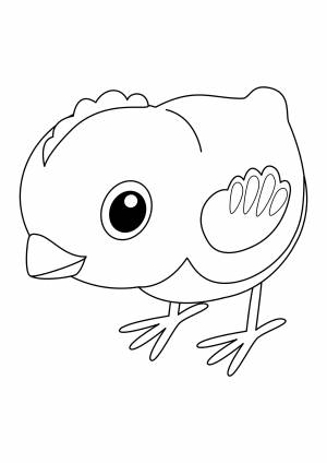 Раскраска «Цыплёнок»